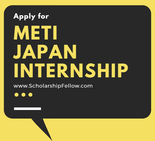 METI Internship Japan