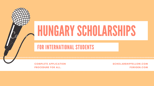 Image result for hungary scholarships 2020